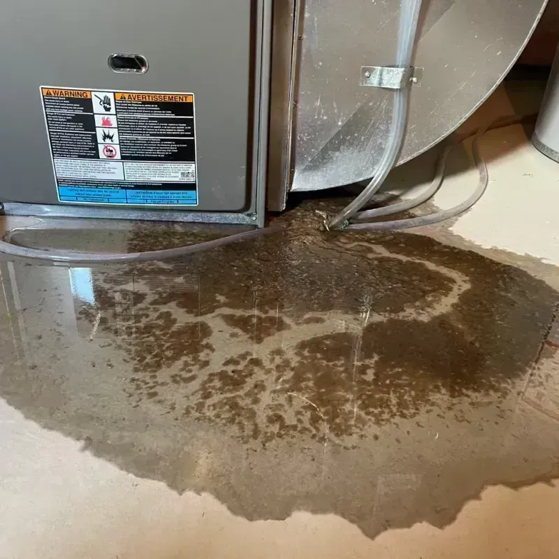 Appliance Leak Cleanup in Montgomery County, KY